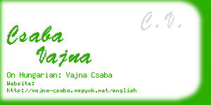 csaba vajna business card